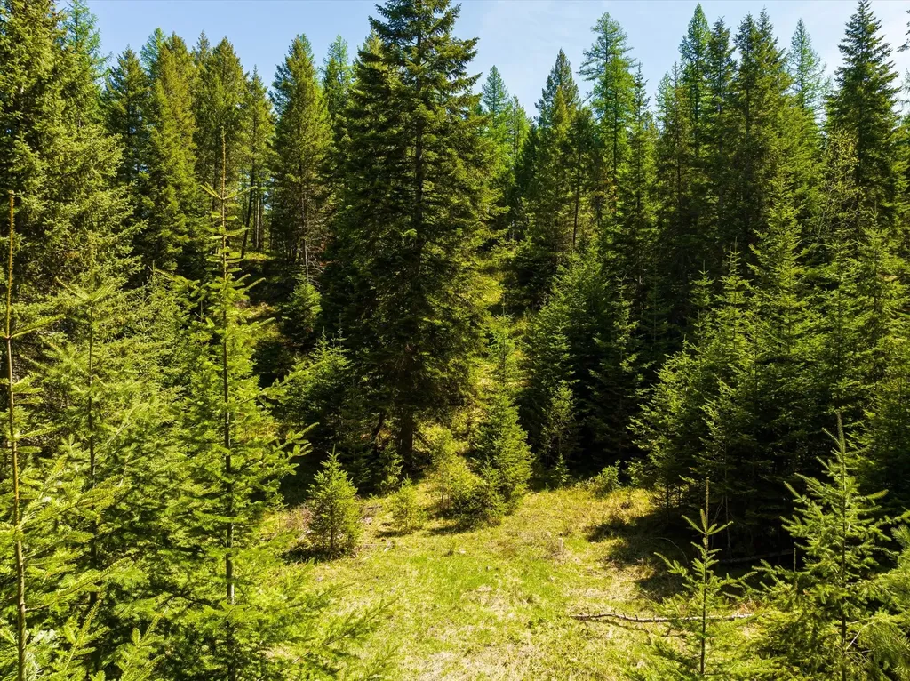 31 Wild Turkey Lane Kalispell MT 59901