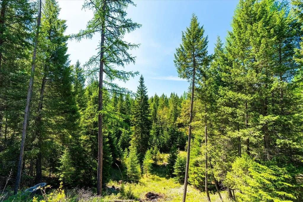 31 Wild Turkey Lane Kalispell MT 59901