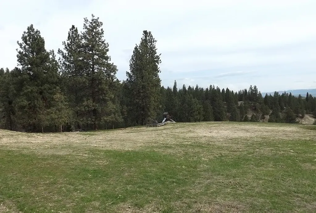 1179 Garden Place Hamilton MT 59840
