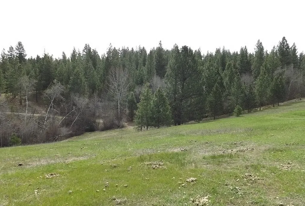 1179 Garden Place Hamilton MT 59840