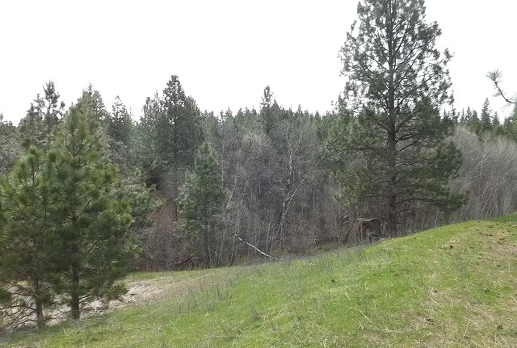 1179 Garden Place Hamilton MT 59840