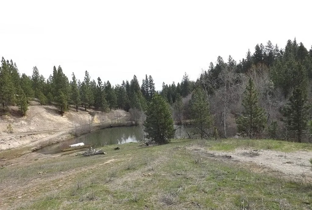 1179 Garden Place Hamilton MT 59840