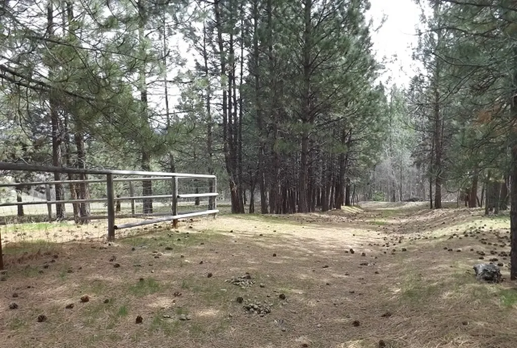 1179 Garden Place Hamilton MT 59840