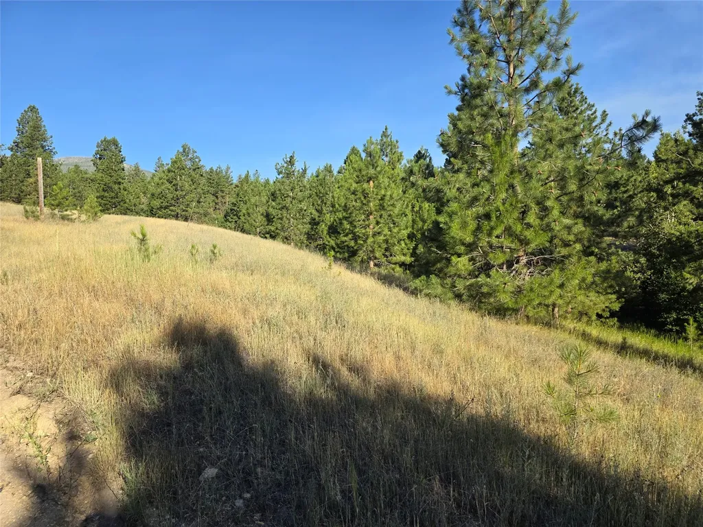 1179 Garden Place Hamilton MT 59840