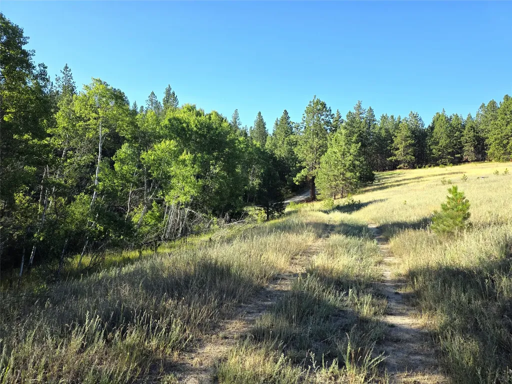 1179 Garden Place Hamilton MT 59840