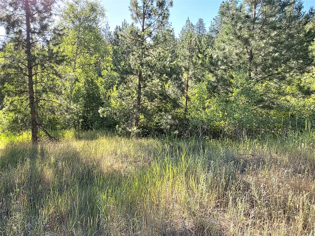 1179 Garden Place Hamilton MT 59840