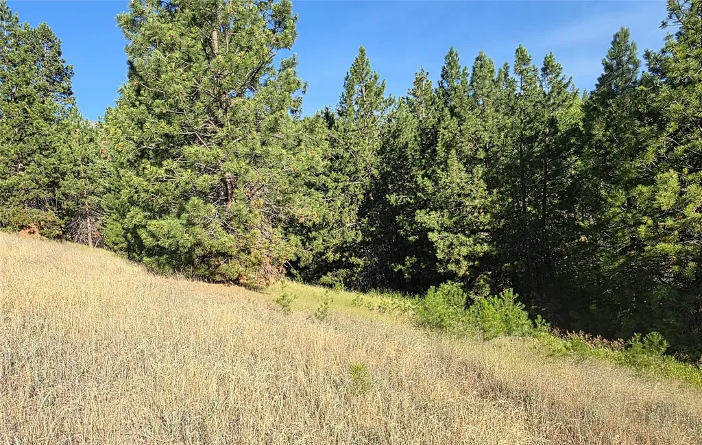 1179 Garden Place Hamilton MT 59840
