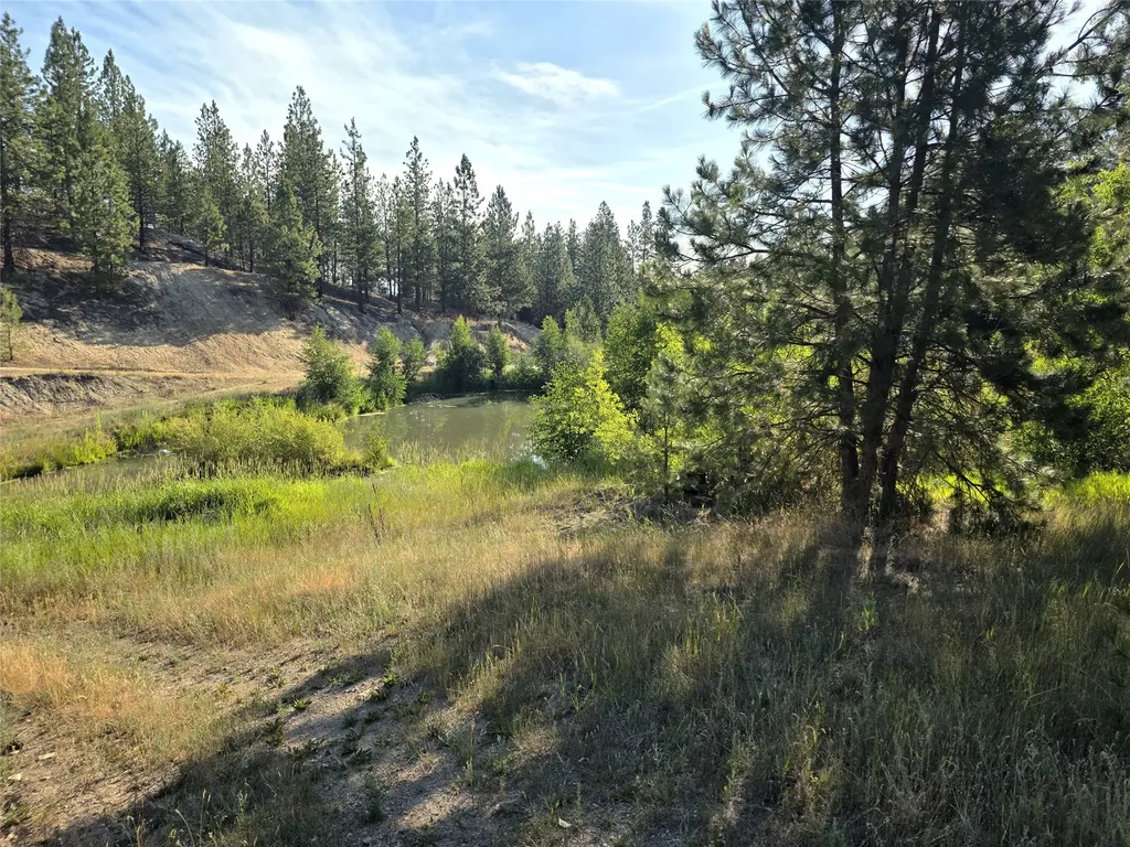 1179 Garden Place Hamilton MT 59840