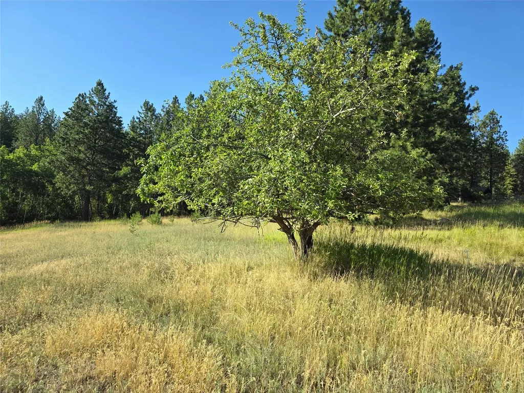 1179 Garden Place Hamilton MT 59840