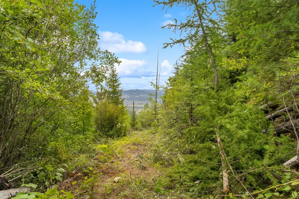 714 Eagles Roost Lane Hamilton MT 59840