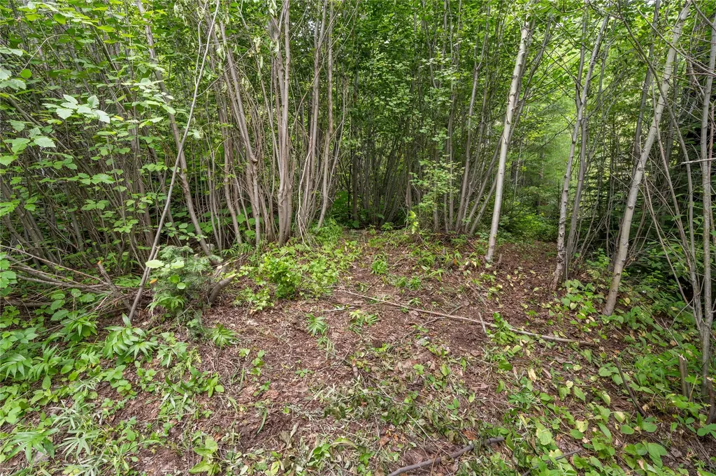 714 Eagles Roost Lane Hamilton MT 59840