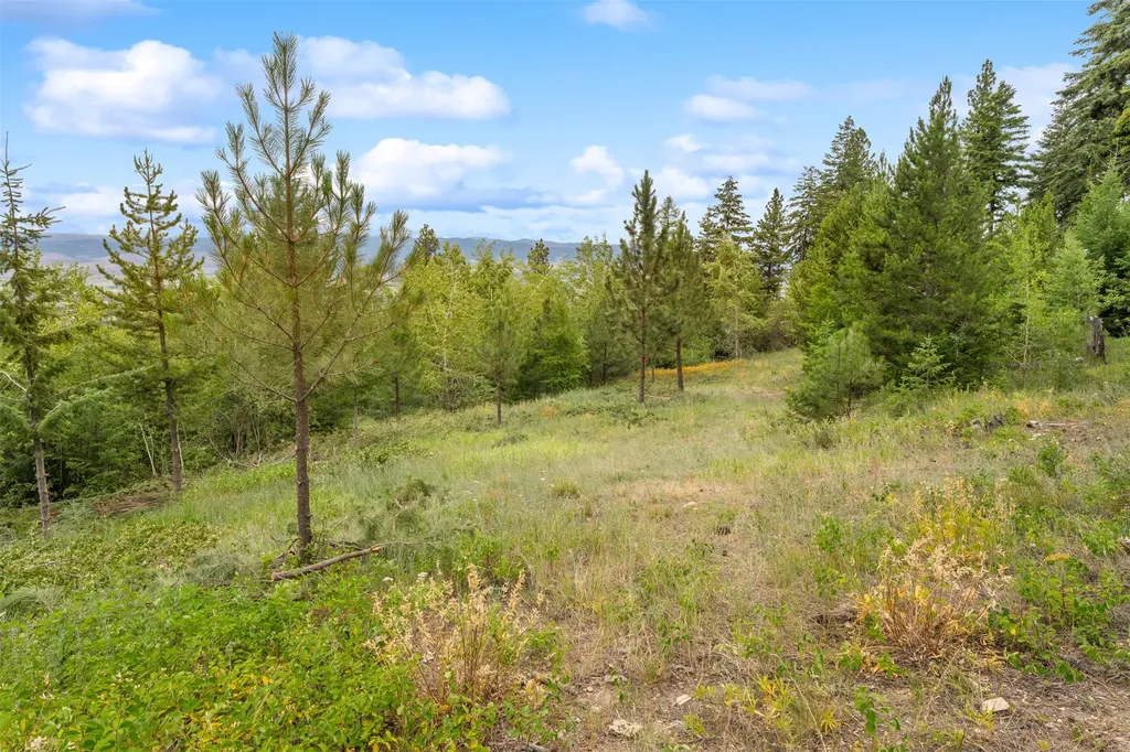 714 Eagles Roost Lane Hamilton MT 59840