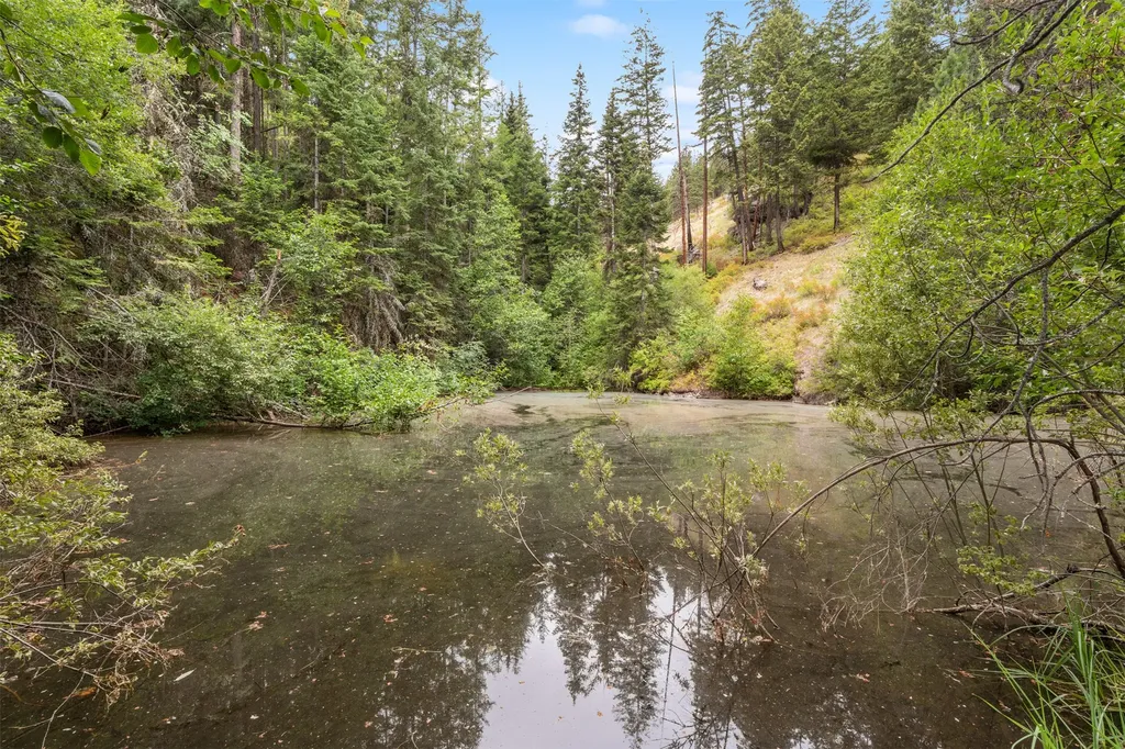 714 Eagles Roost Lane Hamilton MT 59840