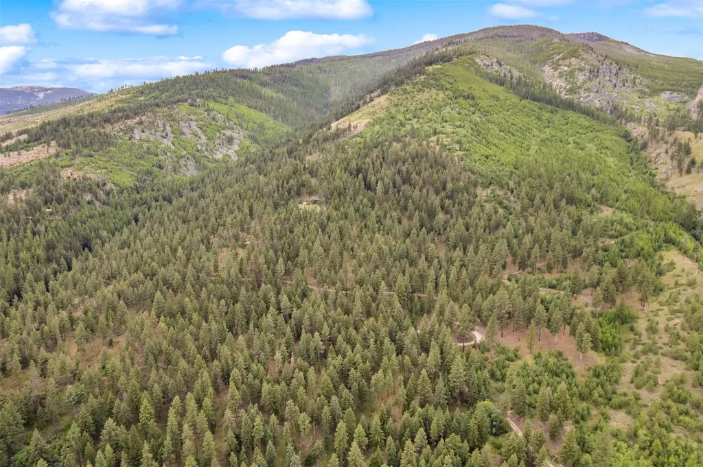 714 Eagles Roost Lane Hamilton MT 59840