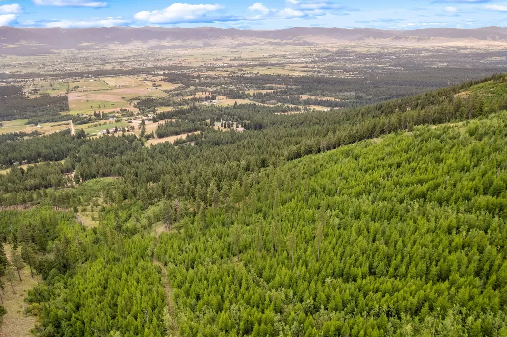 714 Eagles Roost Lane Hamilton MT 59840
