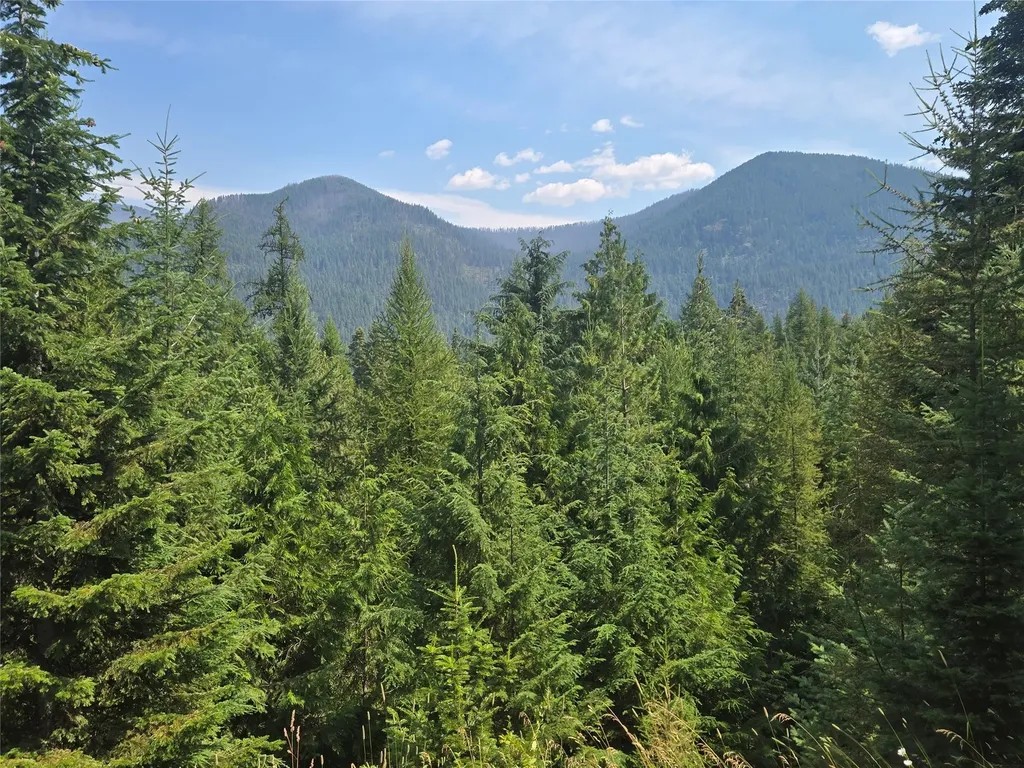116 Klakken Road Noxon MT 59853
