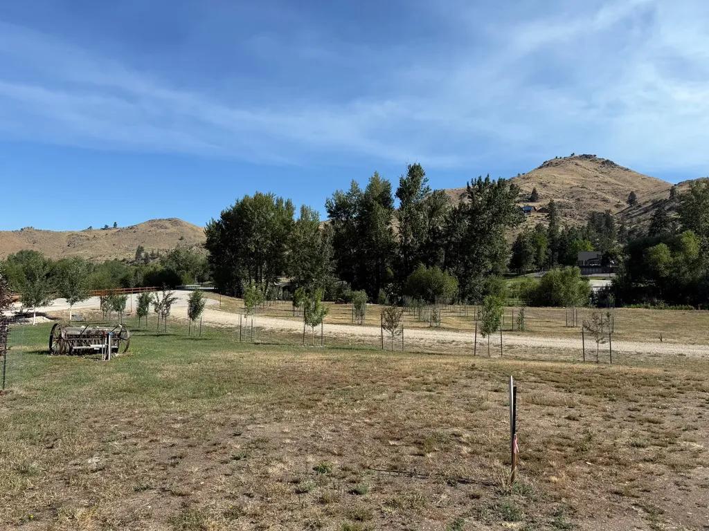 559 Vineyard View Hamilton MT 59840