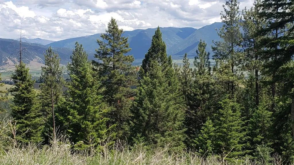 Lot 20 Arlee Pines Arlee MT 59821