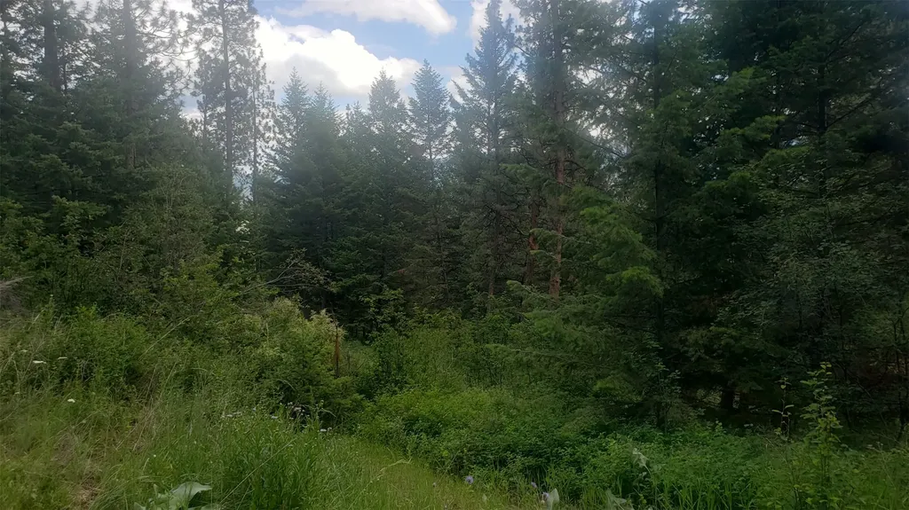 Lot 20 Arlee Pines Arlee MT 59821