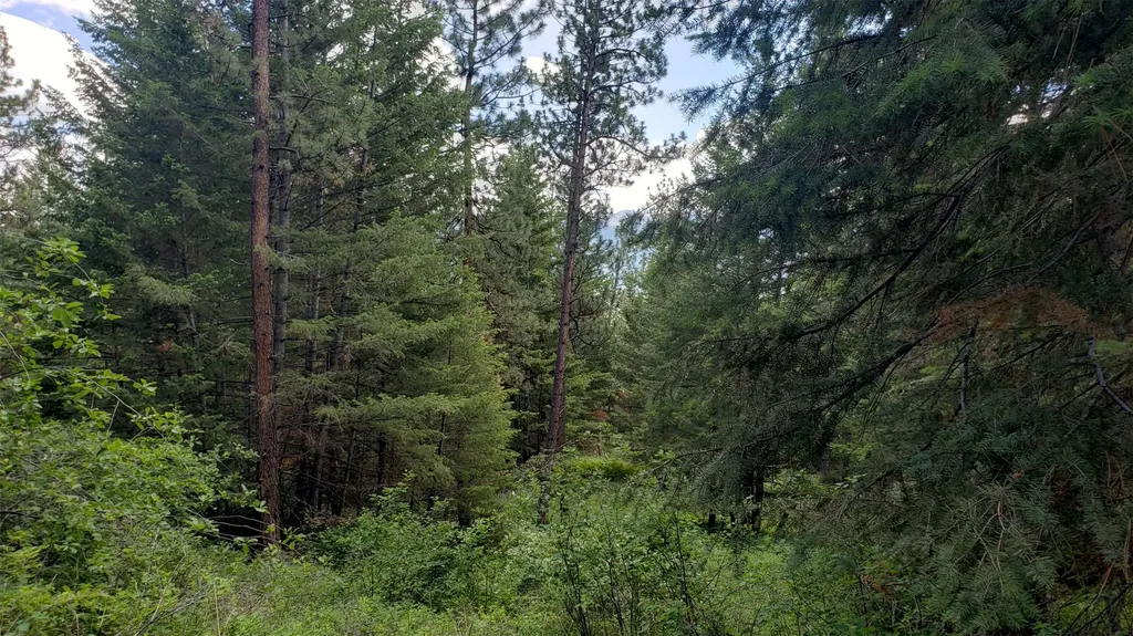 Lot 20 Arlee Pines Arlee MT 59821
