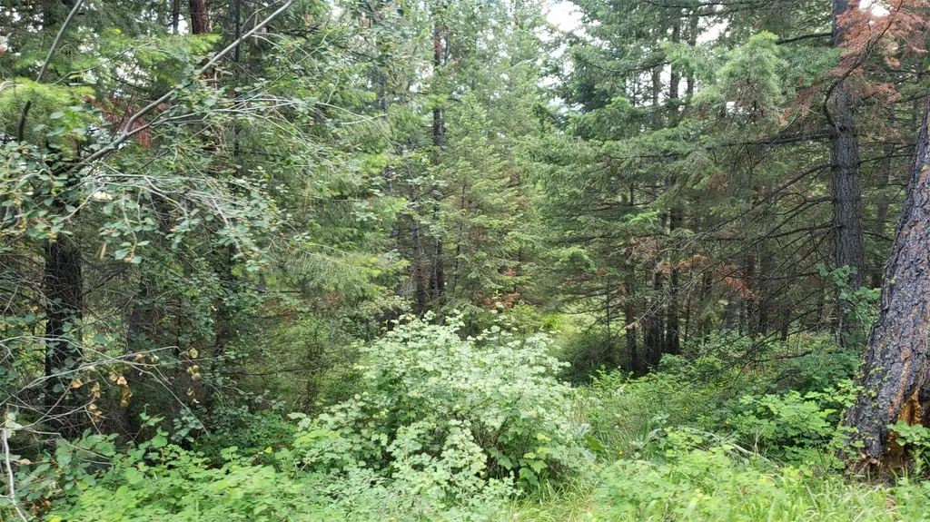 Lot 20 Arlee Pines Arlee MT 59821