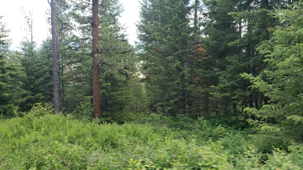 Lot 20 Arlee Pines Arlee MT 59821