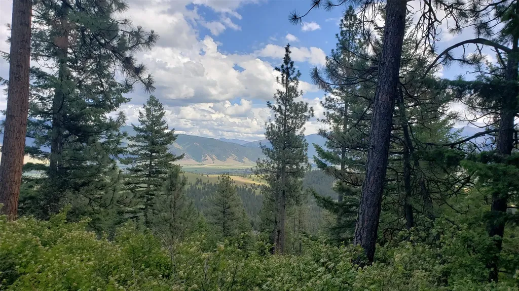Lot 20 Arlee Pines Arlee MT 59821