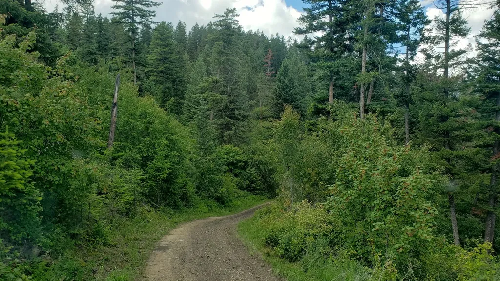 Lot 20 Arlee Pines Arlee MT 59821