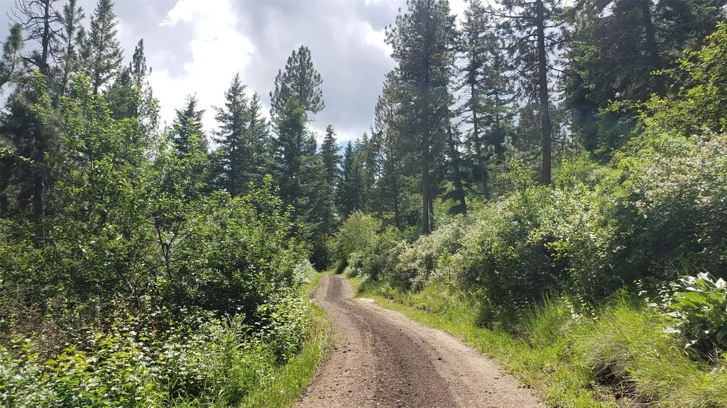 Lot 20 Arlee Pines Arlee MT 59821