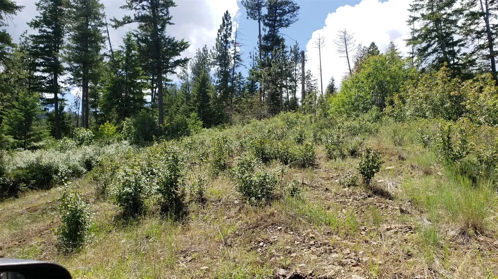 Lot 20 Arlee Pines Arlee MT 59821
