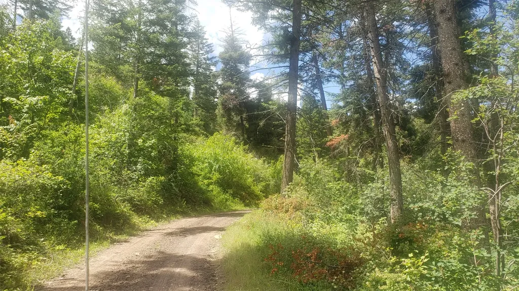 Lot 20 Arlee Pines Arlee MT 59821