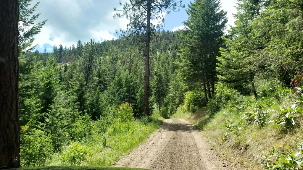 Lot 20 Arlee Pines Arlee MT 59821
