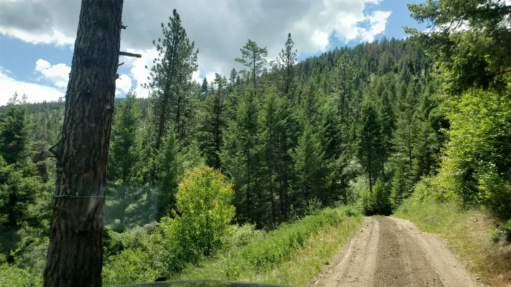Lot 20 Arlee Pines Arlee MT 59821