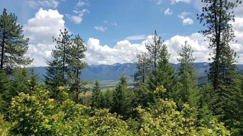Lot 20 Arlee Pines Arlee MT 59821