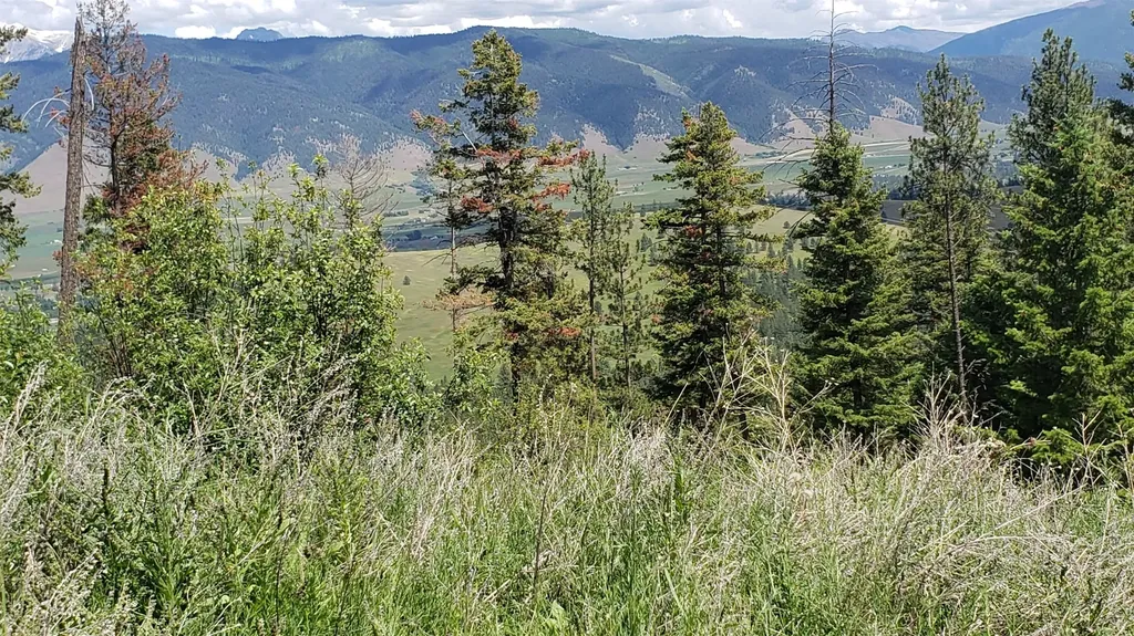 Lot 20 Arlee Pines Arlee MT 59821