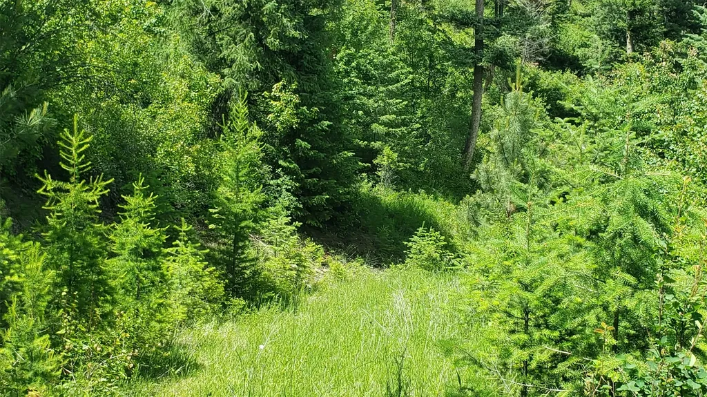 Lot 20 Arlee Pines Arlee MT 59821