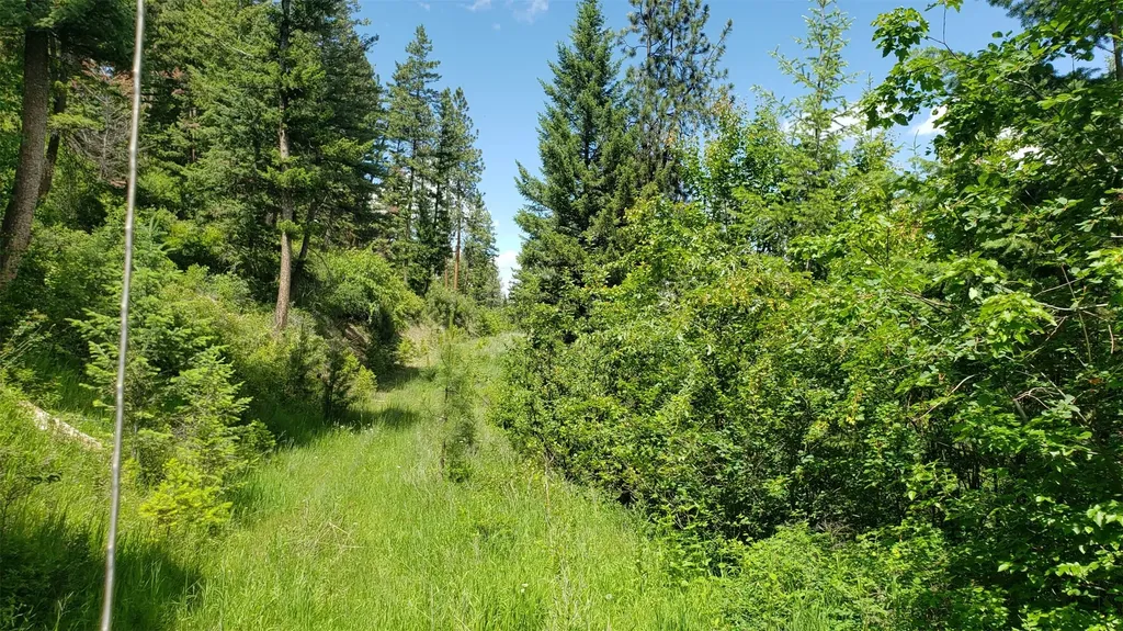 Lot 20 Arlee Pines Arlee MT 59821