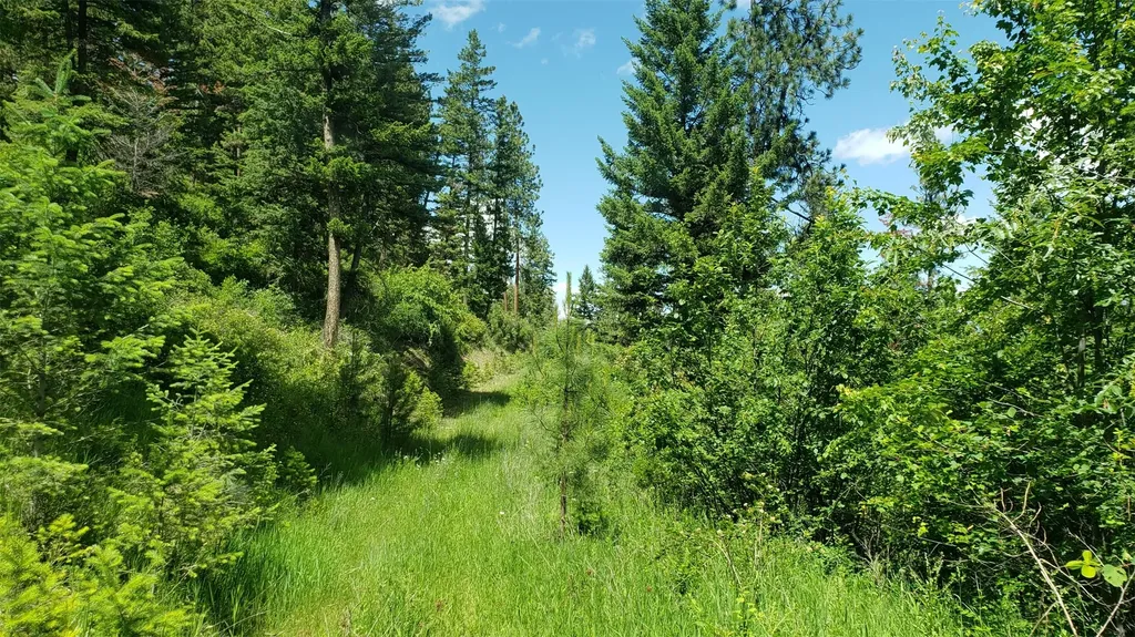 Lot 20 Arlee Pines Arlee MT 59821