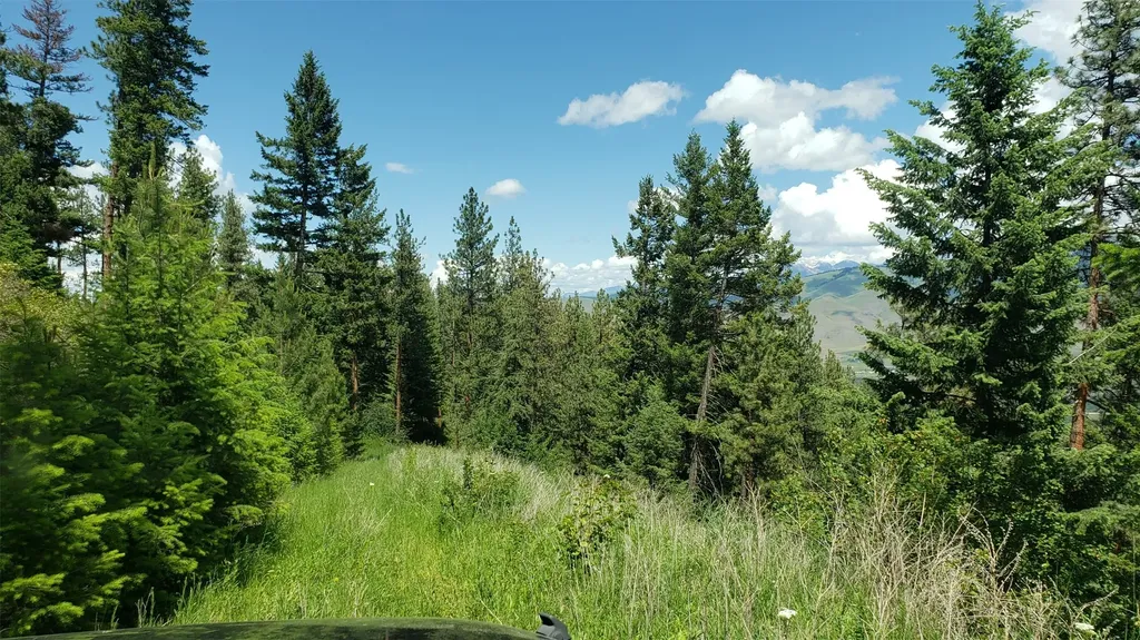 Lot 20 Arlee Pines Arlee MT 59821