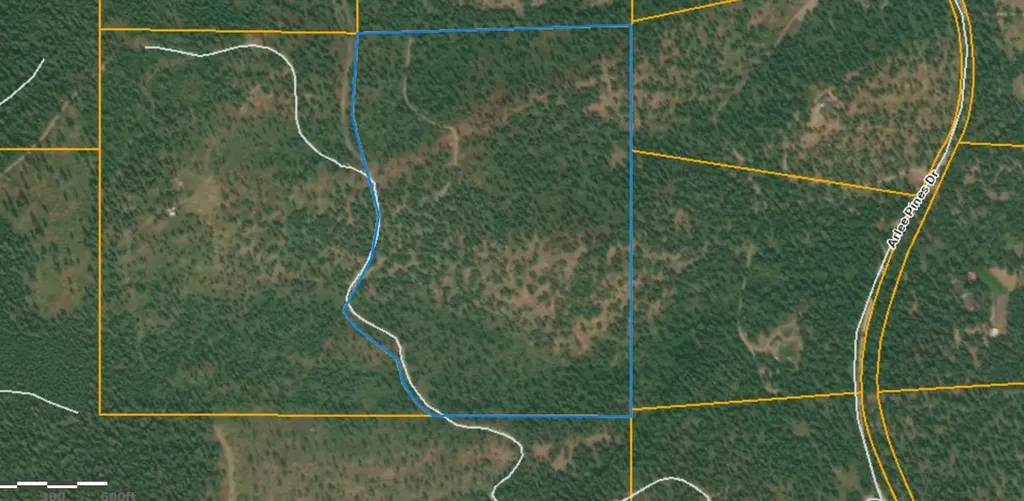 Lot 20 Arlee Pines Arlee MT 59821