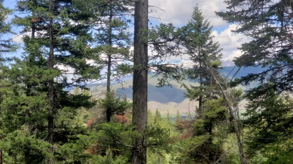 Lot 20 Arlee Pines Arlee MT 59821