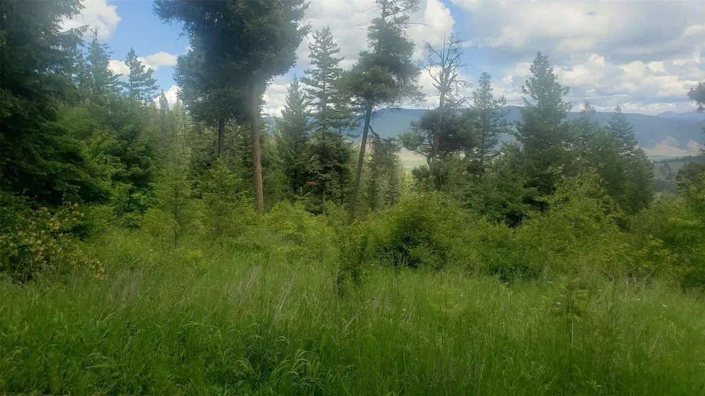 Lot 20 Arlee Pines Arlee MT 59821
