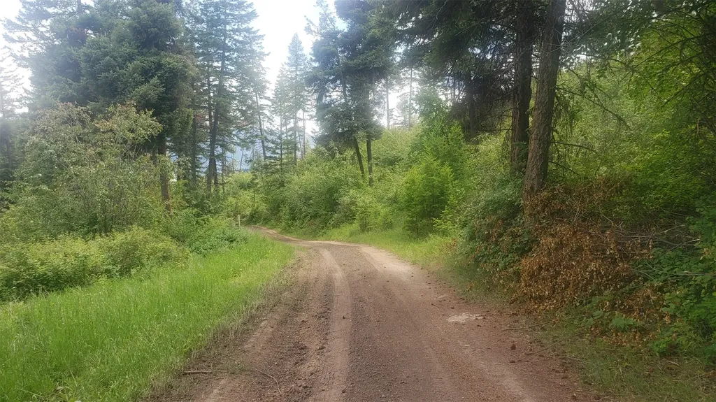 Lot 20 Arlee Pines Arlee MT 59821