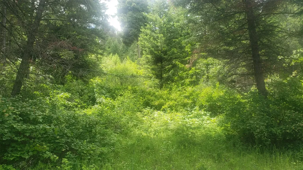 Lot 20 Arlee Pines Arlee MT 59821