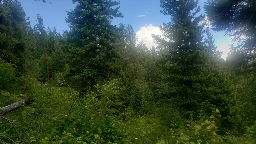 Lot 20 Arlee Pines Arlee MT 59821