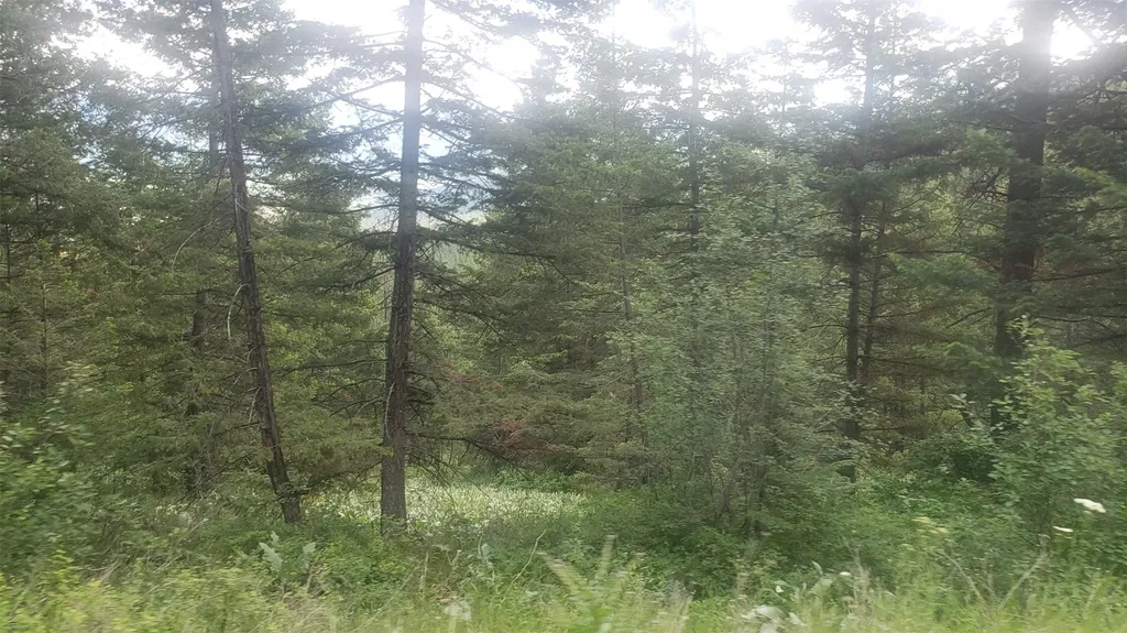 Lot 20 Arlee Pines Arlee MT 59821