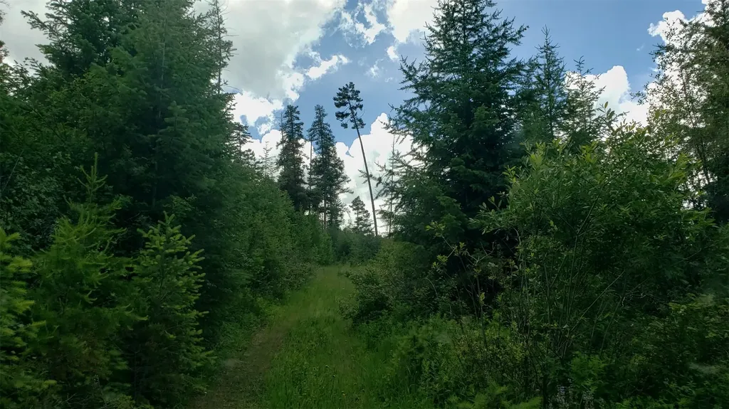 Lot 21 Arlee Pines Arlee MT 59821