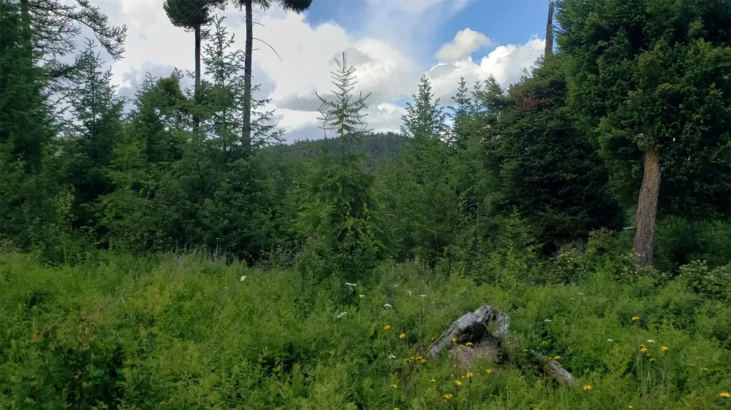 Lot 21 Arlee Pines Arlee MT 59821