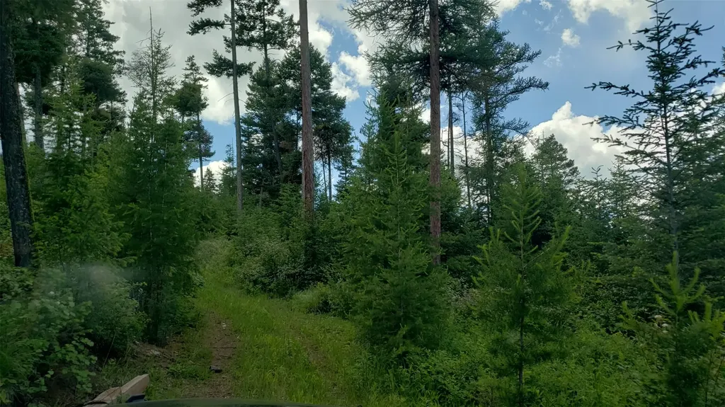 Lot 21 Arlee Pines Arlee MT 59821