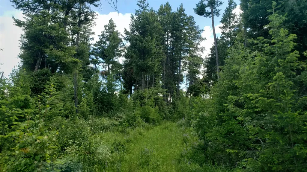 Lot 21 Arlee Pines Arlee MT 59821